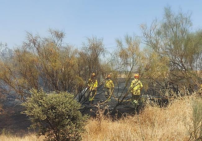 Imagen del incendio declarado este lunes en la N-630, entre Aldea del Cano y Casas de Don Antonio.