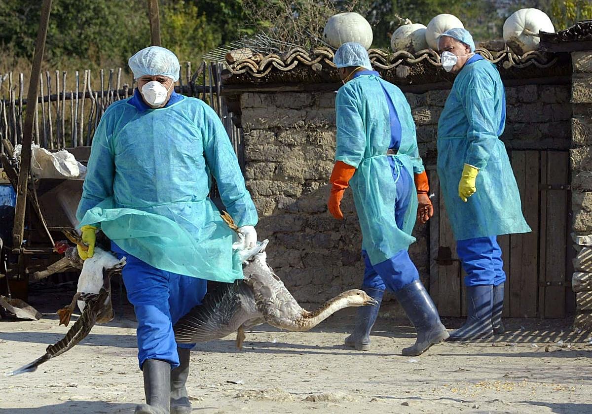 ¿Qué ha pasado este lunes 4 de agosto en Extremadura?