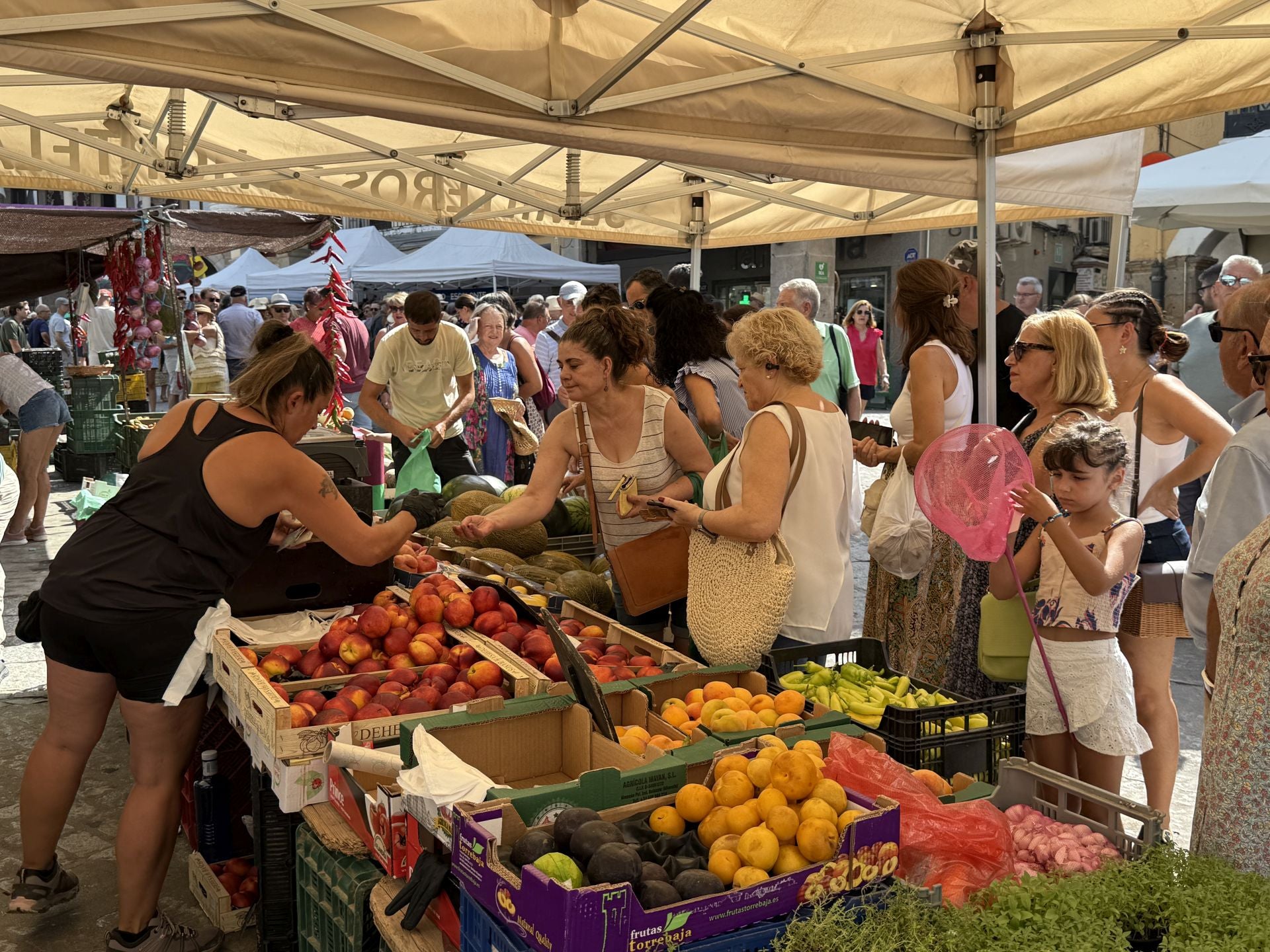 La celebración del Martes Mayor en Plasencia, en imágenes