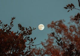 Imagen de archivo de una luna llena