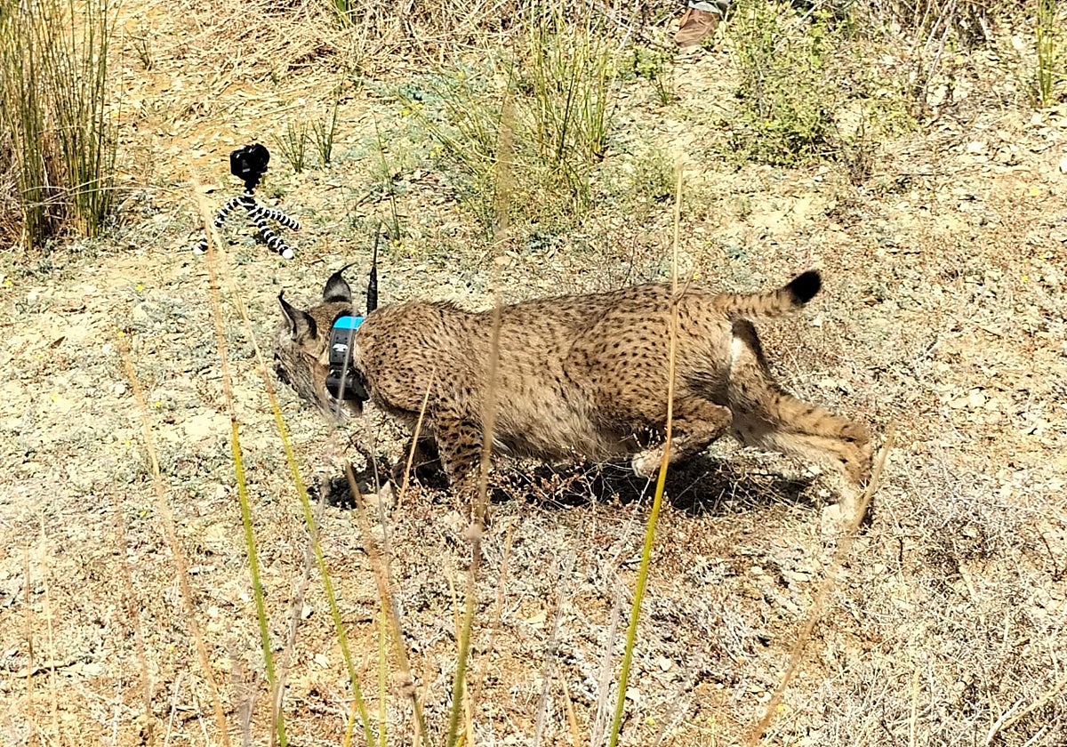 Flora, disfrutando de sus primeros momentos en libertad