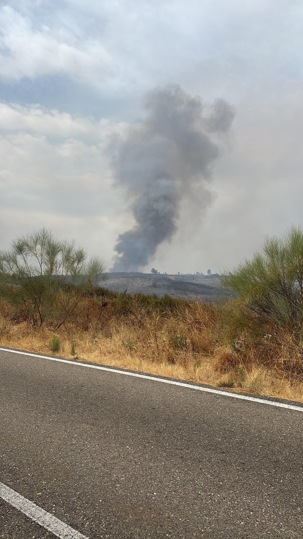 Columna de humo provocada por el incendio