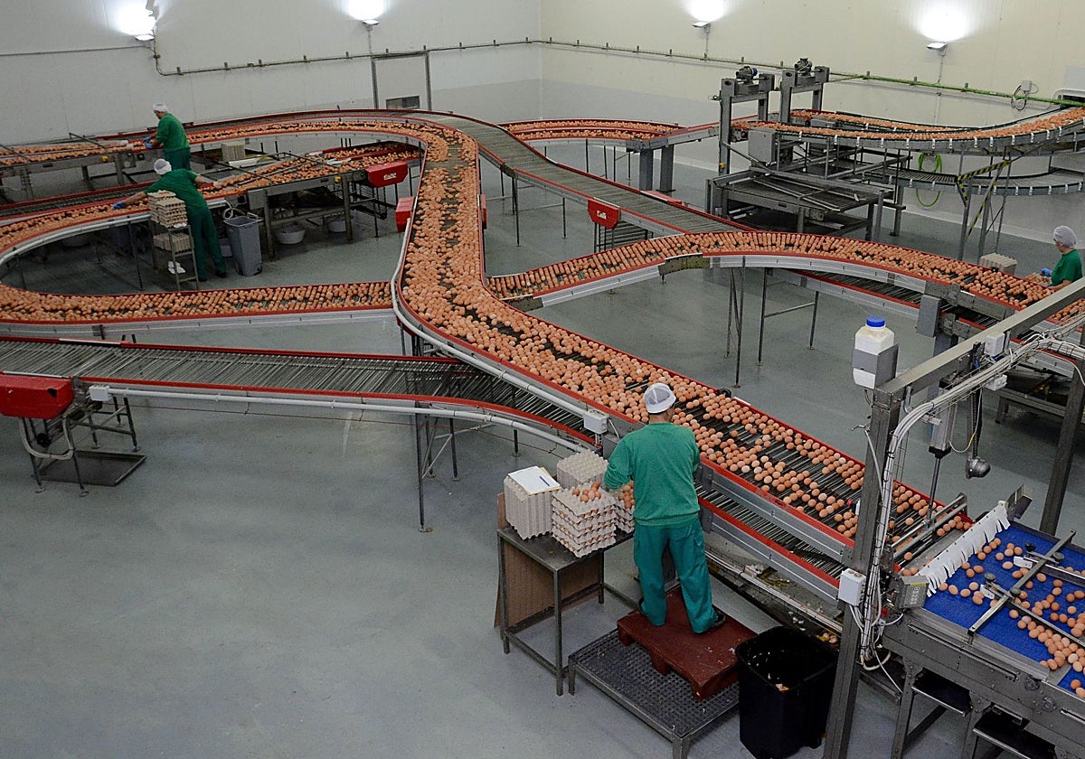 Imagen de archivo de las instalaciones centrales de Huevos Guillén en Almendralejo.