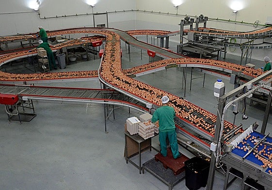 Imagen de archivo de las instalaciones centrales de Huevos Guillén en Almendralejo.