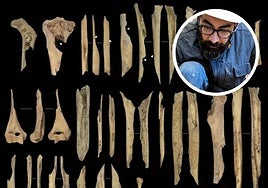 Fragmentos de extremidades canibalizados.