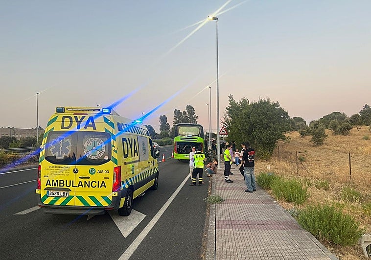 El autobús ha quedado parado en la avenida de la Universidad de Cáceres.