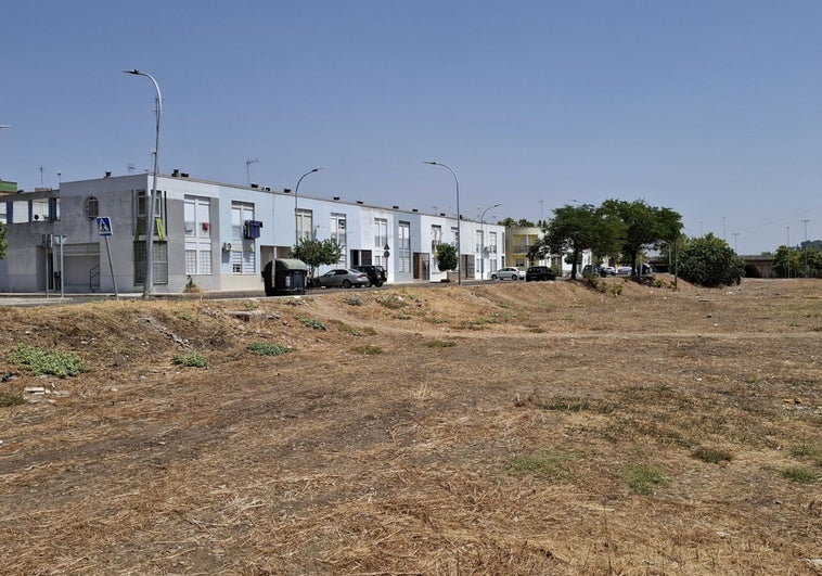Las Moreras se queda sin huertos urbanos por falta de solares