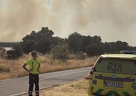 Imágenes del incendio declarado este viernes en Aldea del Cano