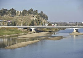 El segundo incendio ha sido pasado el puente de la Autonomía.