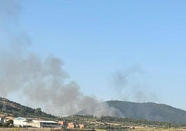 Columna de humo generada por el incendio de Cañaveral