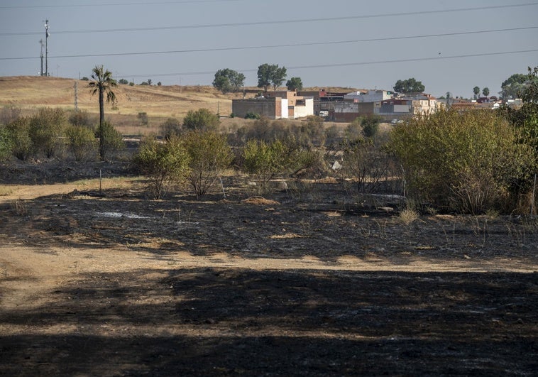 Quintana, sobre el incendiario de Badajoz: «No son delitos fáciles de resolver, habría que cogerlo in fraganti»