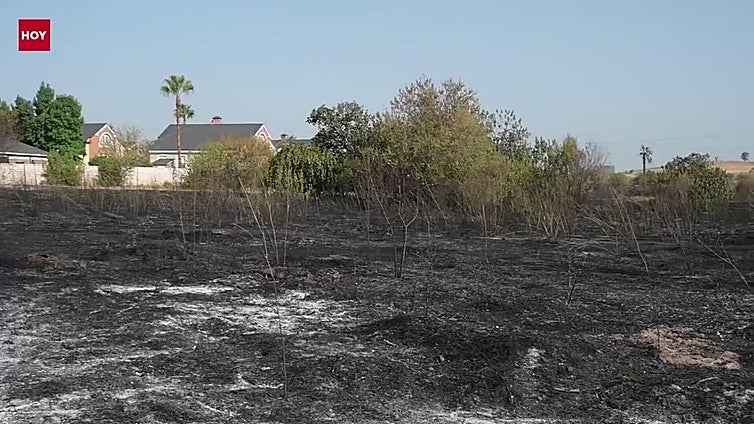 El vecino cuyo coche quedó calcinado en Las Vaguadas: «El fuego se quedó a unos metros de las casas»