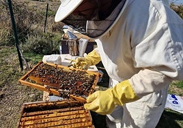 Imagen de un apicultor con sus colmenas.