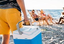 Importante aviso de Sanidad sobre las neveras en la playa: «Ojo»