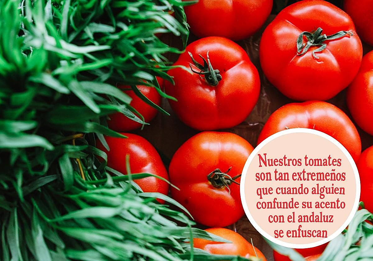 «Piensan en viajar en tren y le dan resudores»: la ingeniosa campaña de Helios para presumir de huerta extremeña