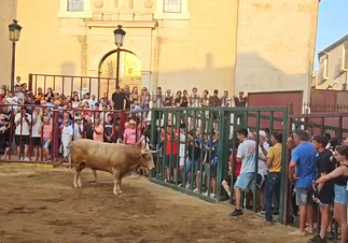 El público abarrotó el recinto acotado para el festejo taurino.