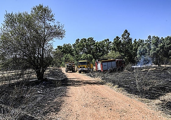 Medios del Infoez en los incendios de Badajoz.