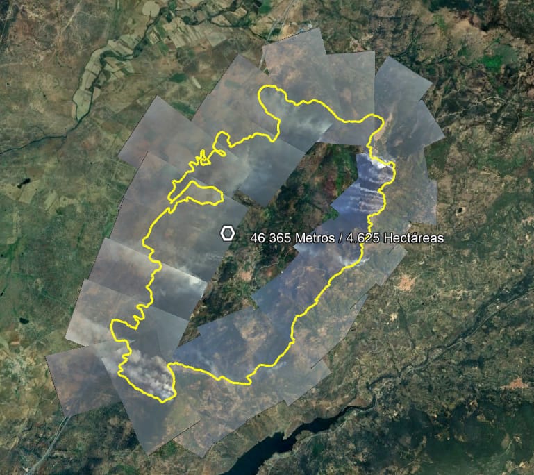 El incendio de Jarilla, en imágenes