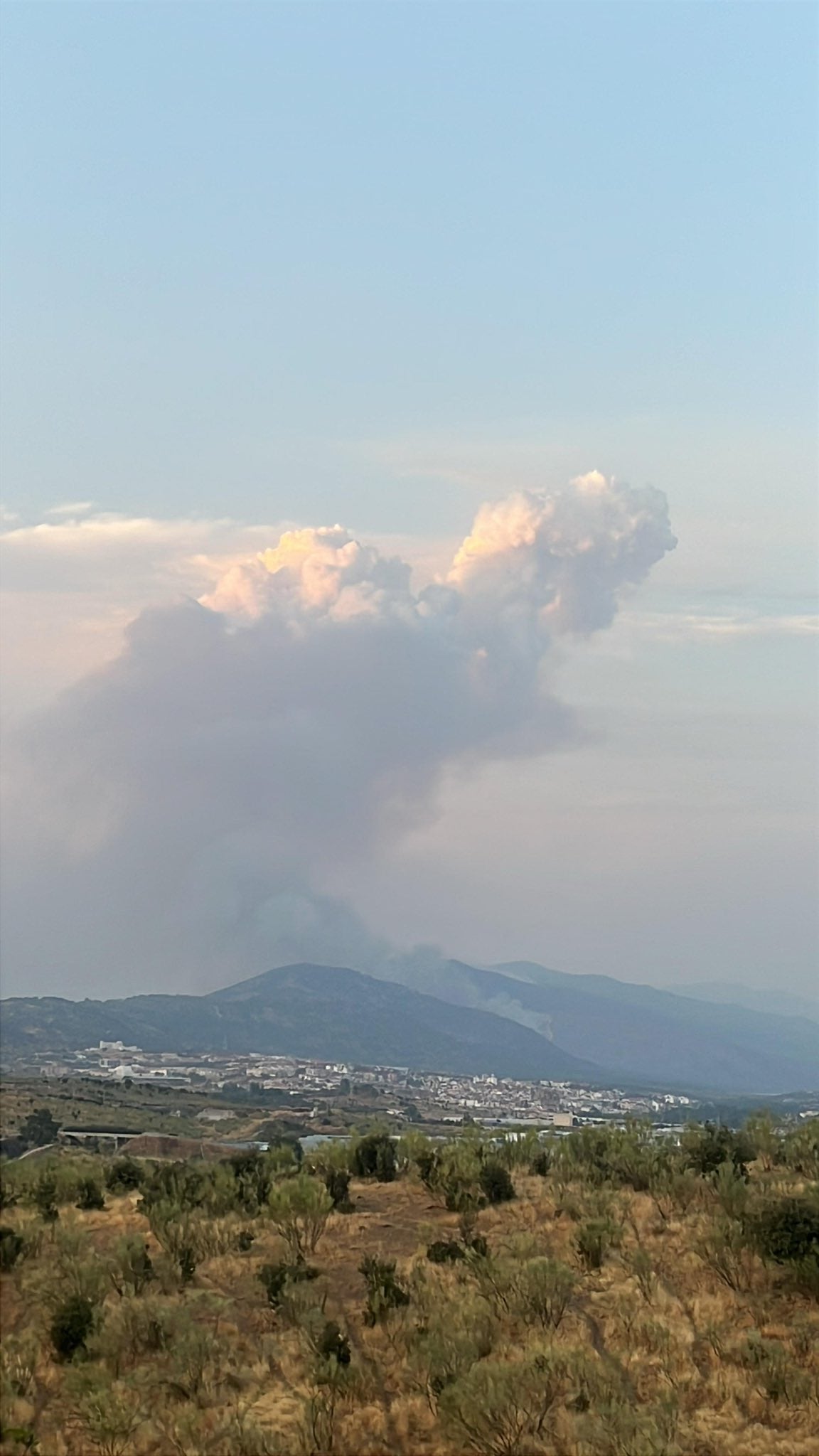 El incendio de Jarilla, en imágenes