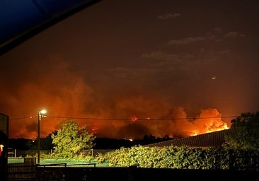 El incendio de Jarilla, en imágenes