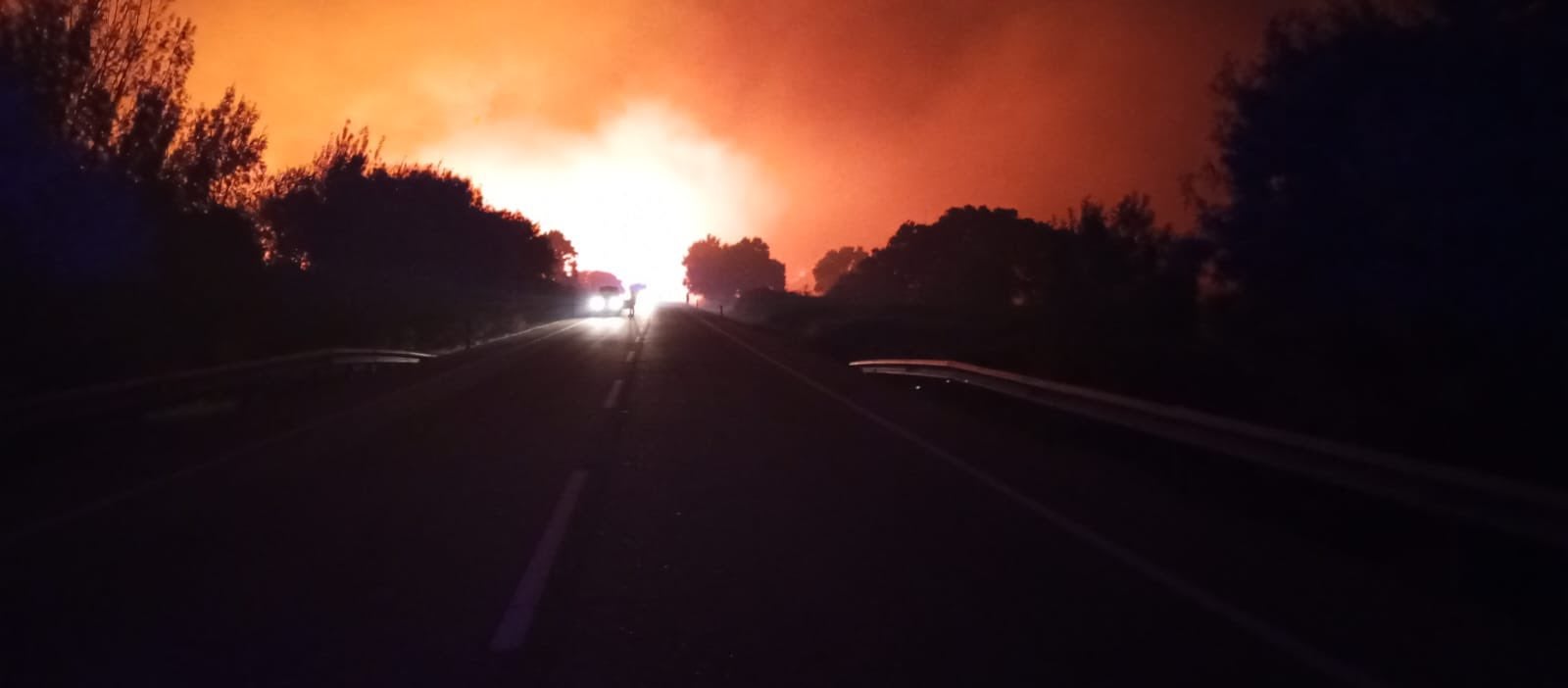El incendio de Jarilla, en imágenes