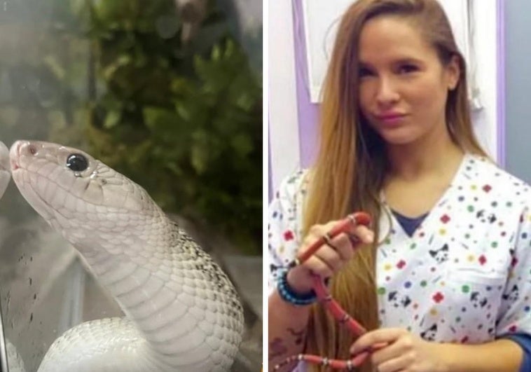 Imágenes curiosas: la extremeña que tiene una serpiente como mascota nos muestra cómo muda su piel
