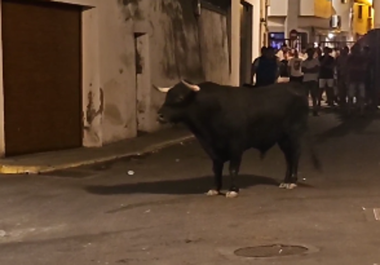Herido un vecino de Casar de Cáceres por una cornada con dos trayectorias en los festejos de Torrejoncillo