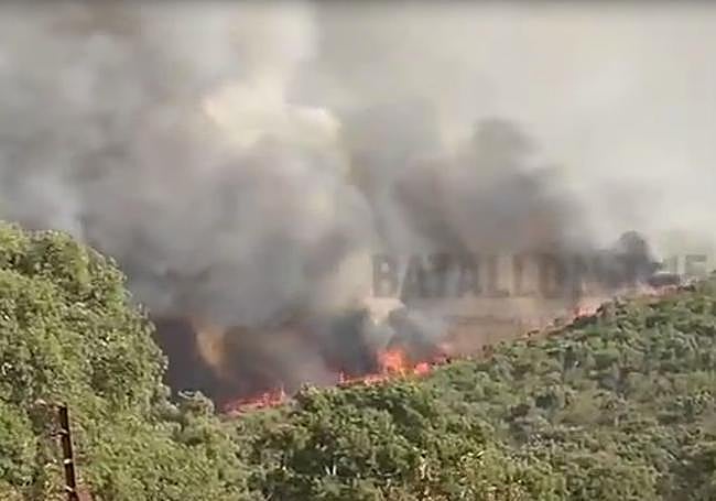 Fuego en Aliseda-Albuerquerque, este viernes por la tarde.