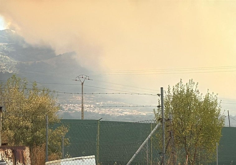 El incendio de Jarilla se reactiva a causa del viento y obliga a confinar Casas del Monte