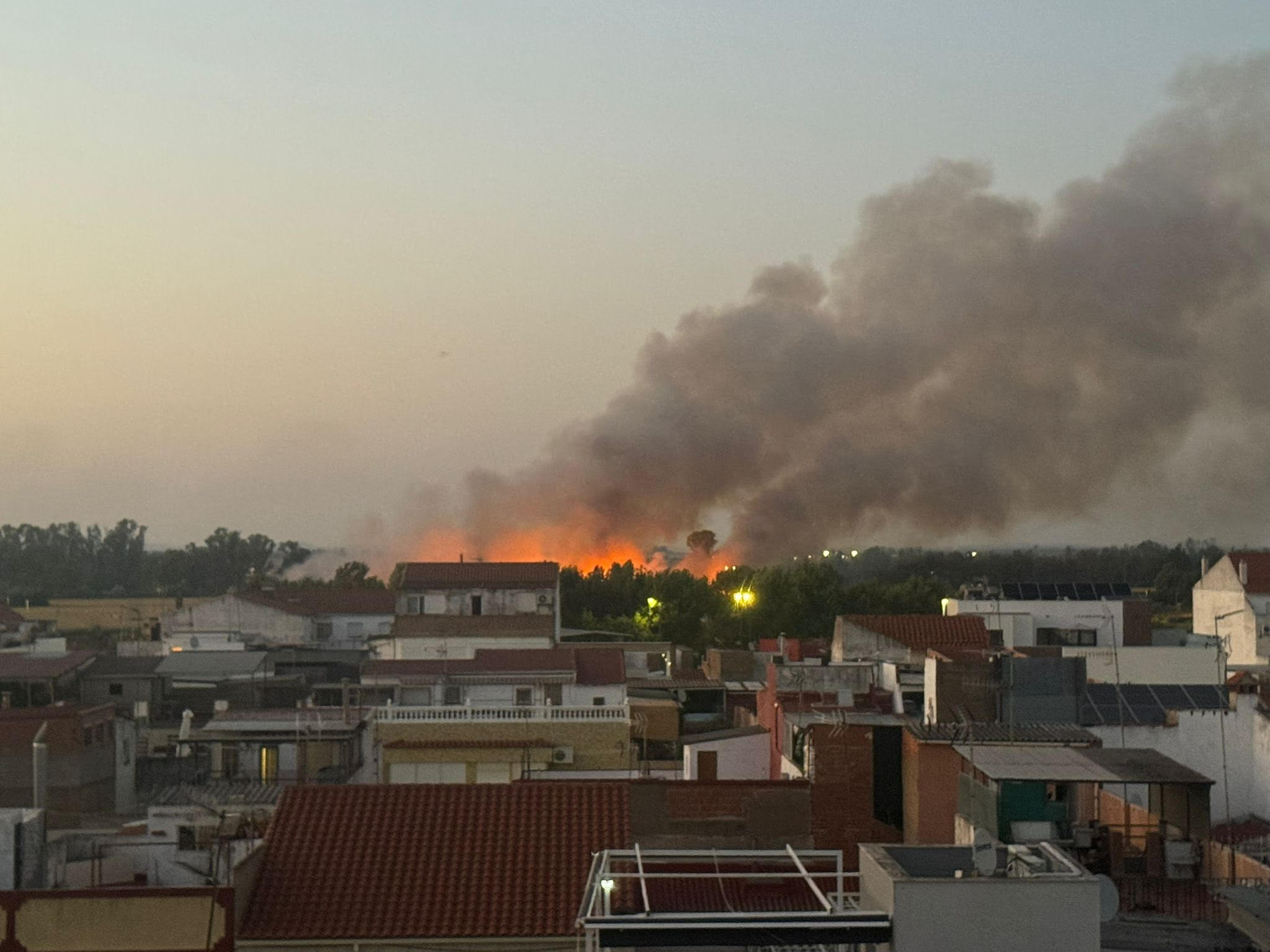 Badajoz sufre nuevos incendios intencionados en la carretera de Cáceres y Las Crispitas