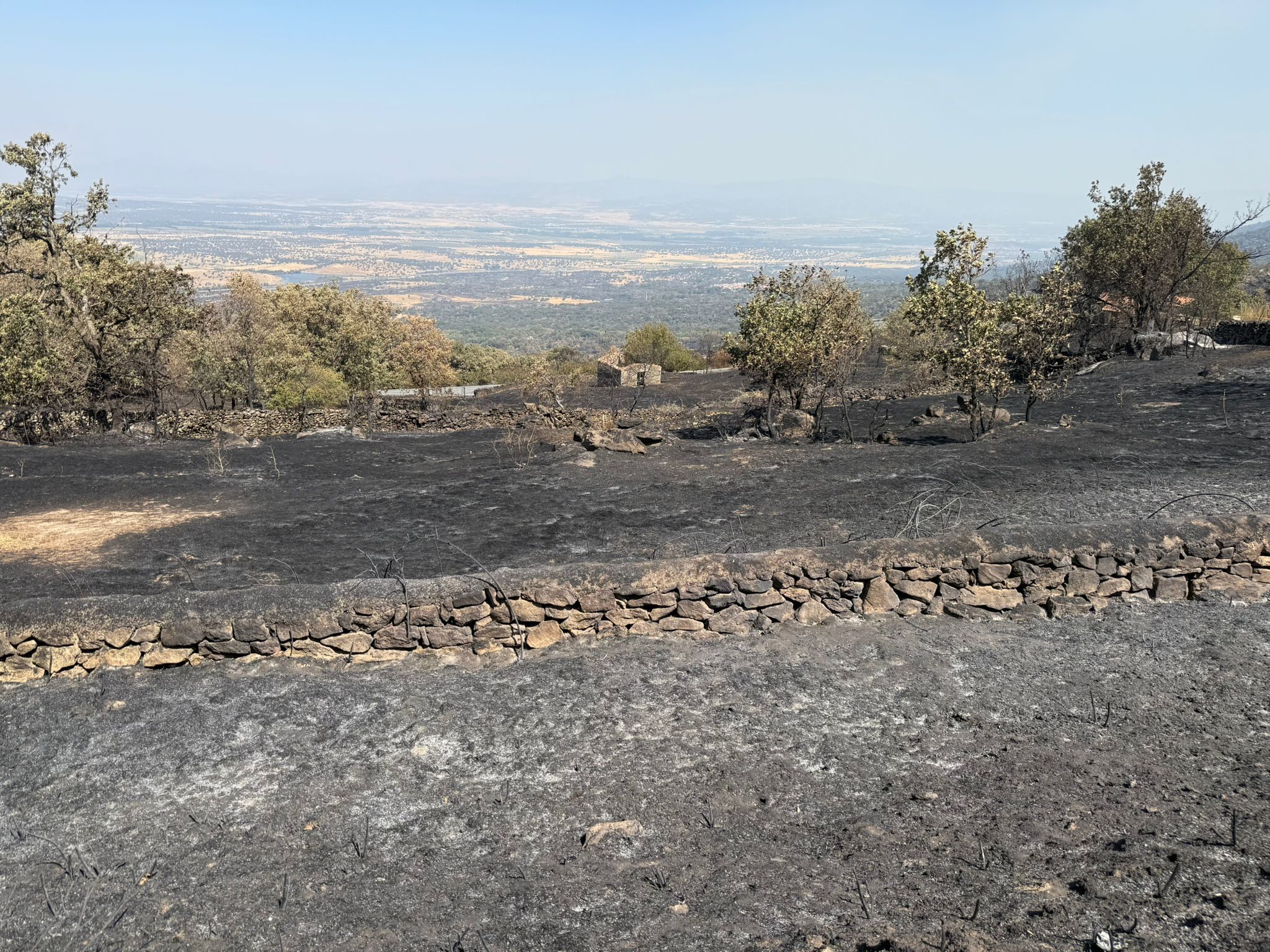 Así ha quedado la comarca de Trasierra tras el incendio de Jarilla