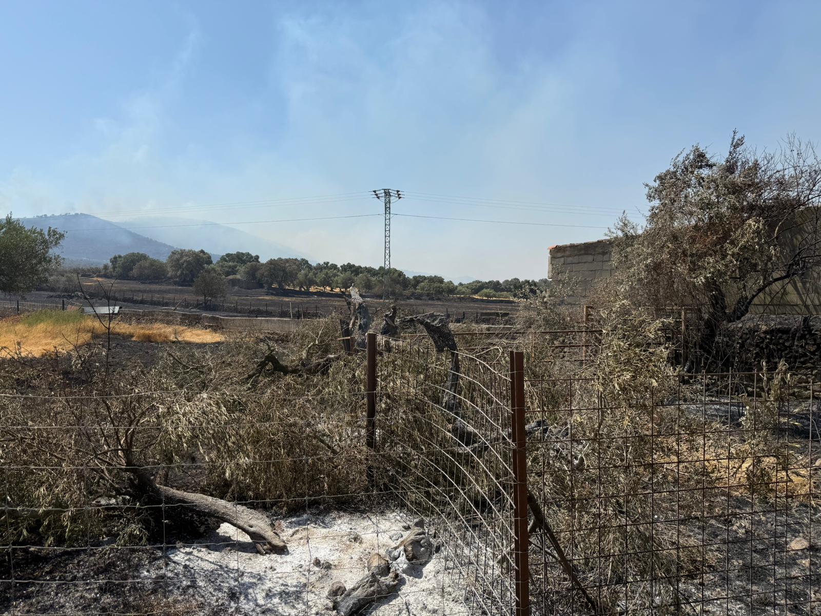 Así ha quedado la comarca de Trasierra tras el incendio de Jarilla