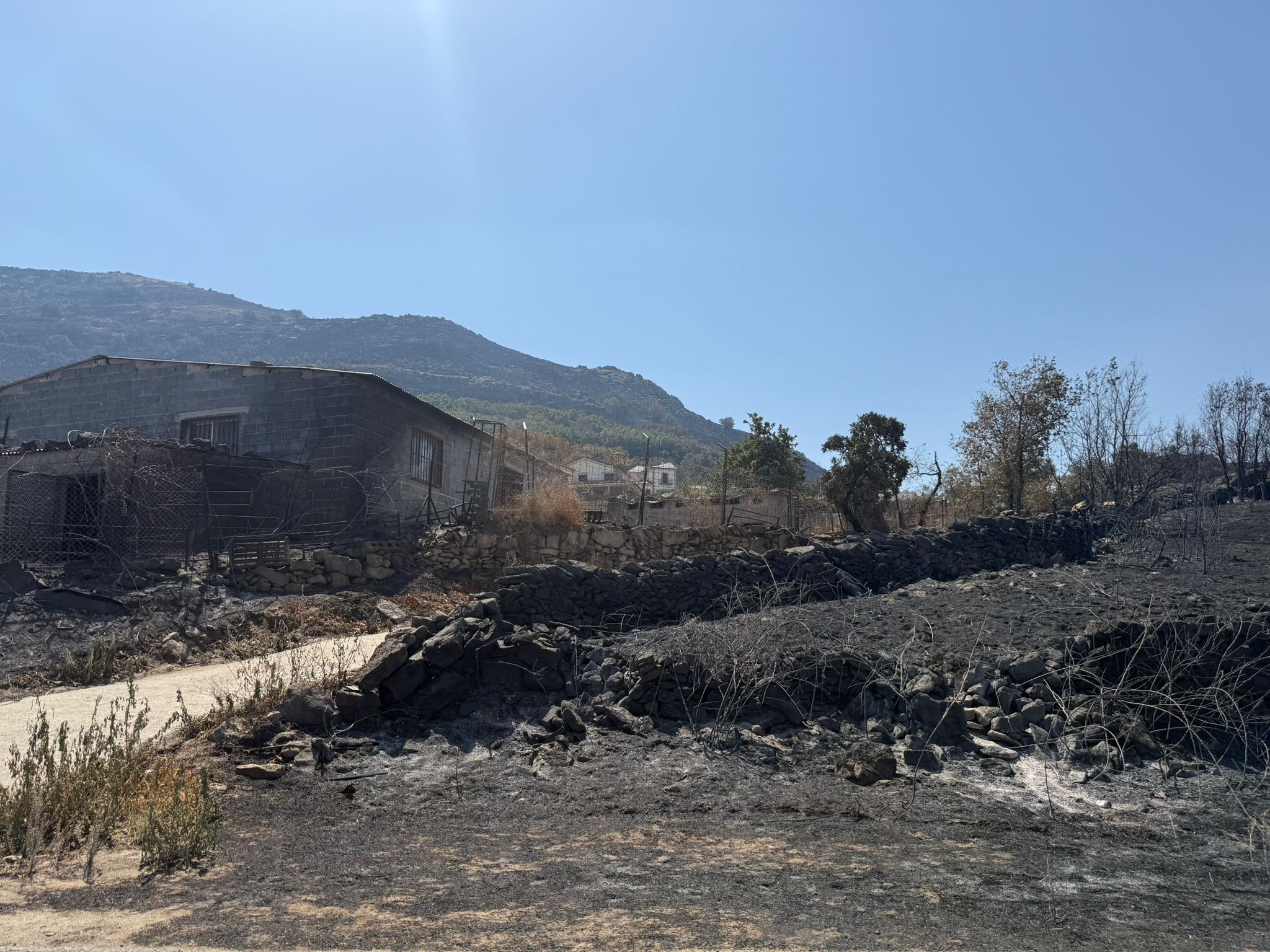 Así ha quedado la comarca de Trasierra tras el incendio de Jarilla