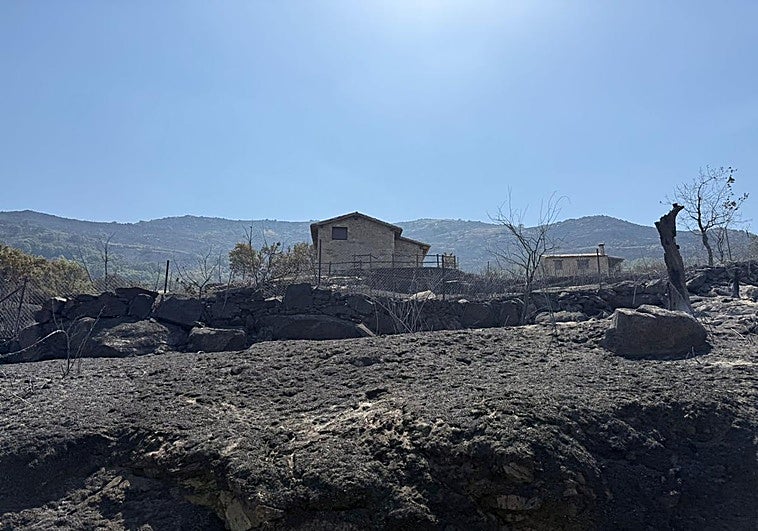 Terreno calcinado por el fuego de Jarilla.