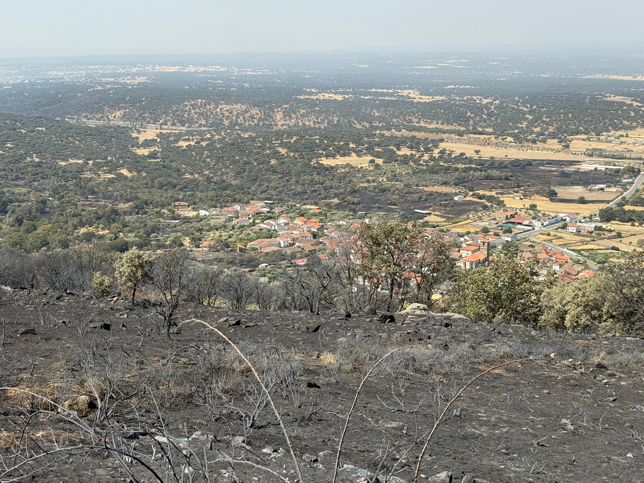 Así ha quedado la comarca de Trasierra tras el incendio de Jarilla