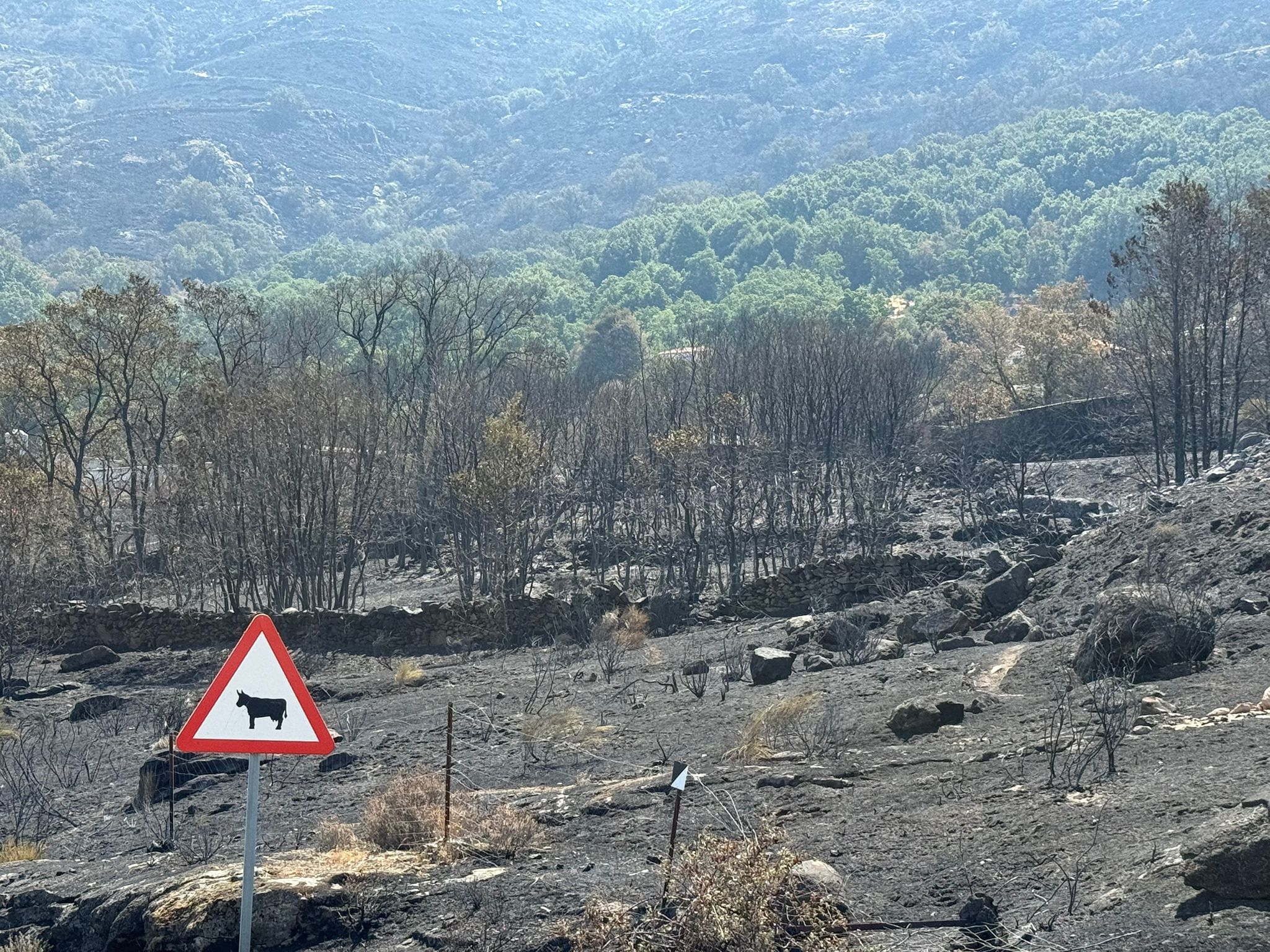 Así ha quedado la comarca de Trasierra tras el incendio de Jarilla