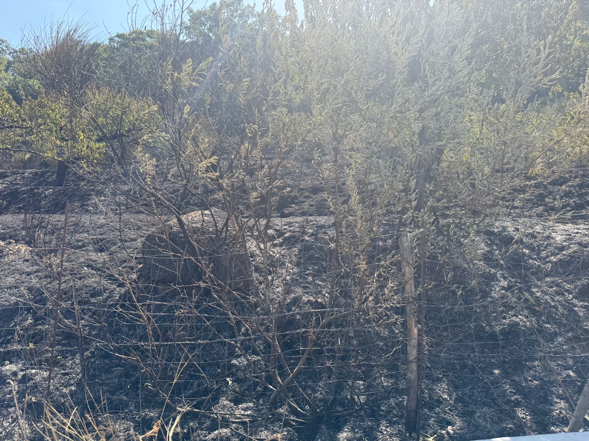 Así ha quedado la comarca de Trasierra tras el incendio de Jarilla