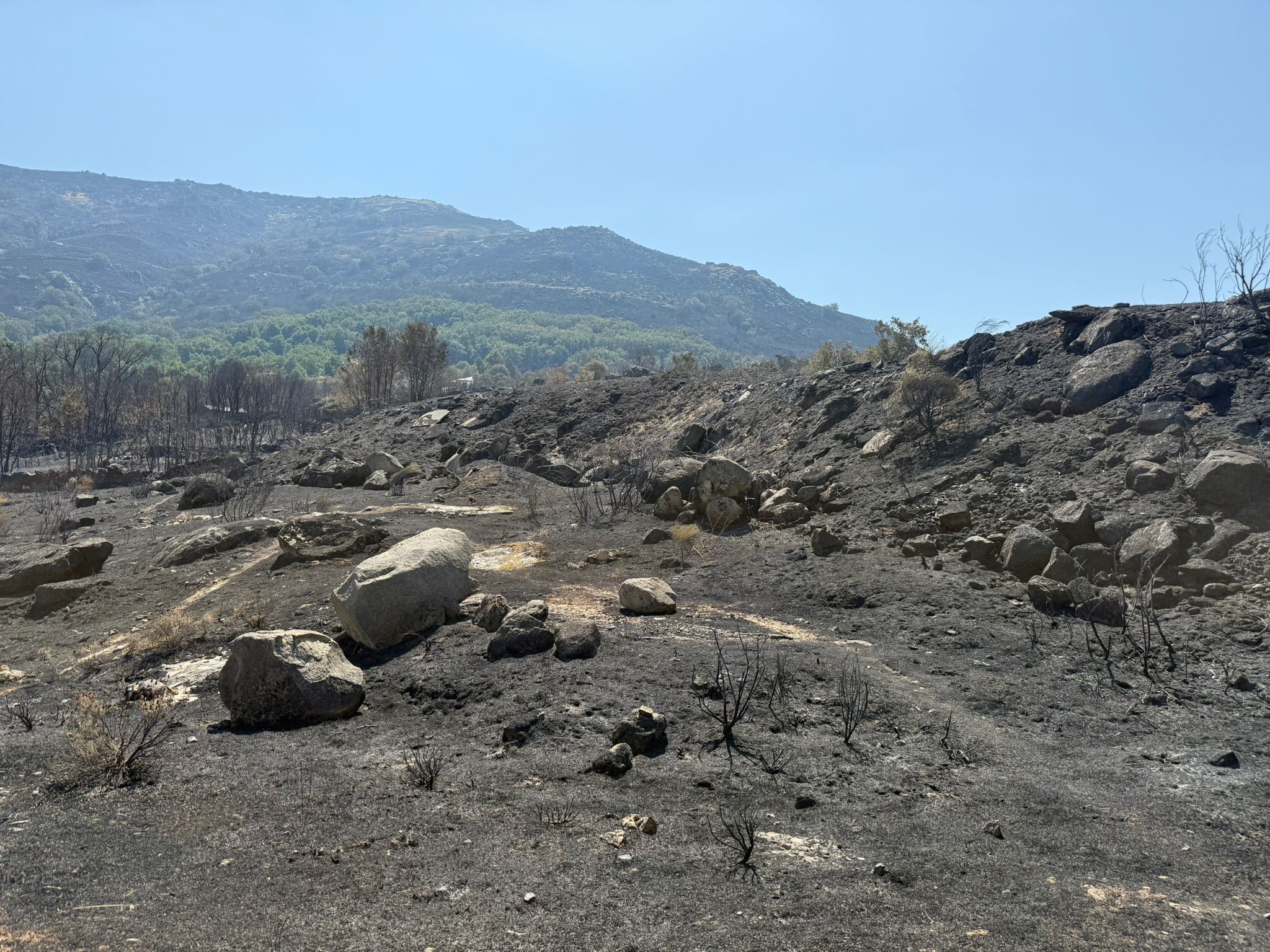 Así ha quedado la comarca de Trasierra tras el incendio de Jarilla
