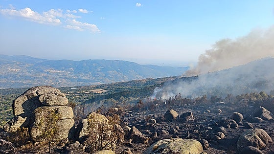 La superficie quemada alcanza las 12.000 hectáreas en Trasierra, Campiña Sur y Sierra de San Pedro
