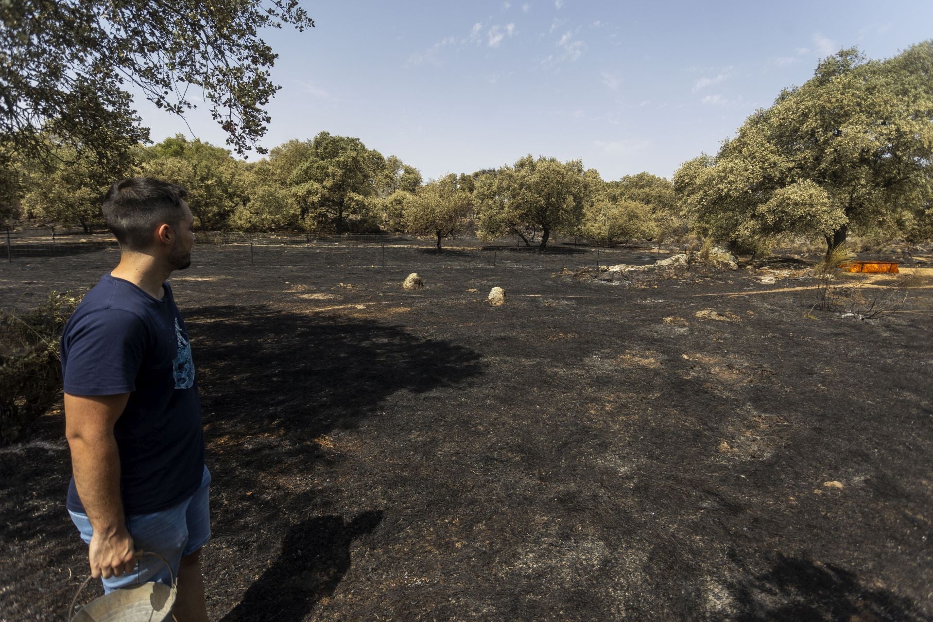 Terrenos arrasados por el incendio de Casar de Cáceres