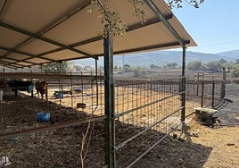 Granjas afectadas por el incendio de Jarilla.