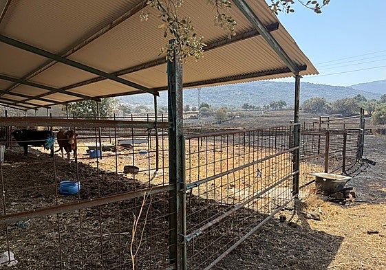 Granjas afectadas por el incendio de Jarilla.
