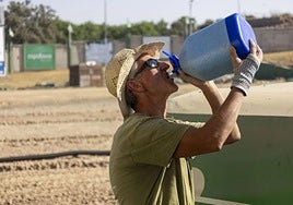 Ola de calor: estas son las localidades extremeñas que han superado los 43 grados este sábado