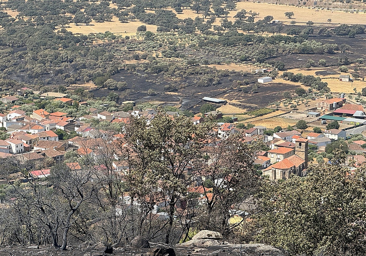 Terreno quemado que rodea la localidad de Villar de Plasencia.