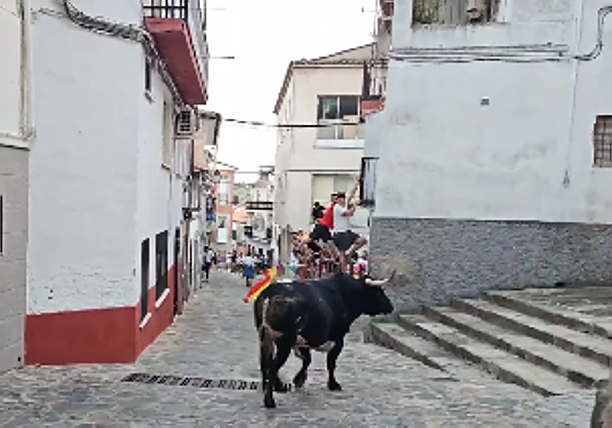 Décimo y último toro de las fiestas, 'Aguarojo'.