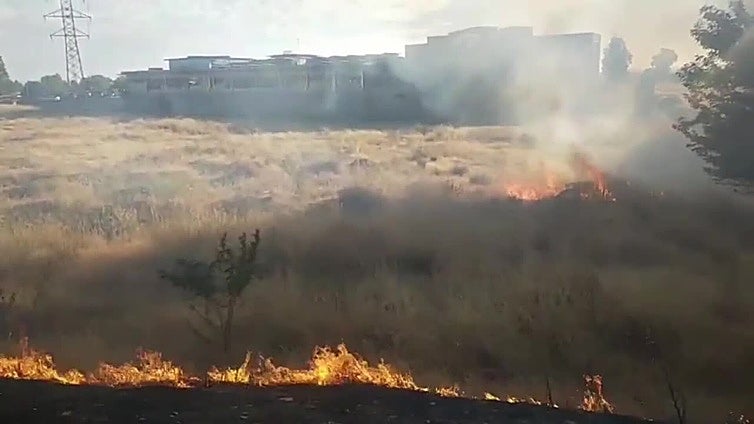 Detenido un hombre por provocar un incendio que obligó a cortar el Puente Real de Badajoz