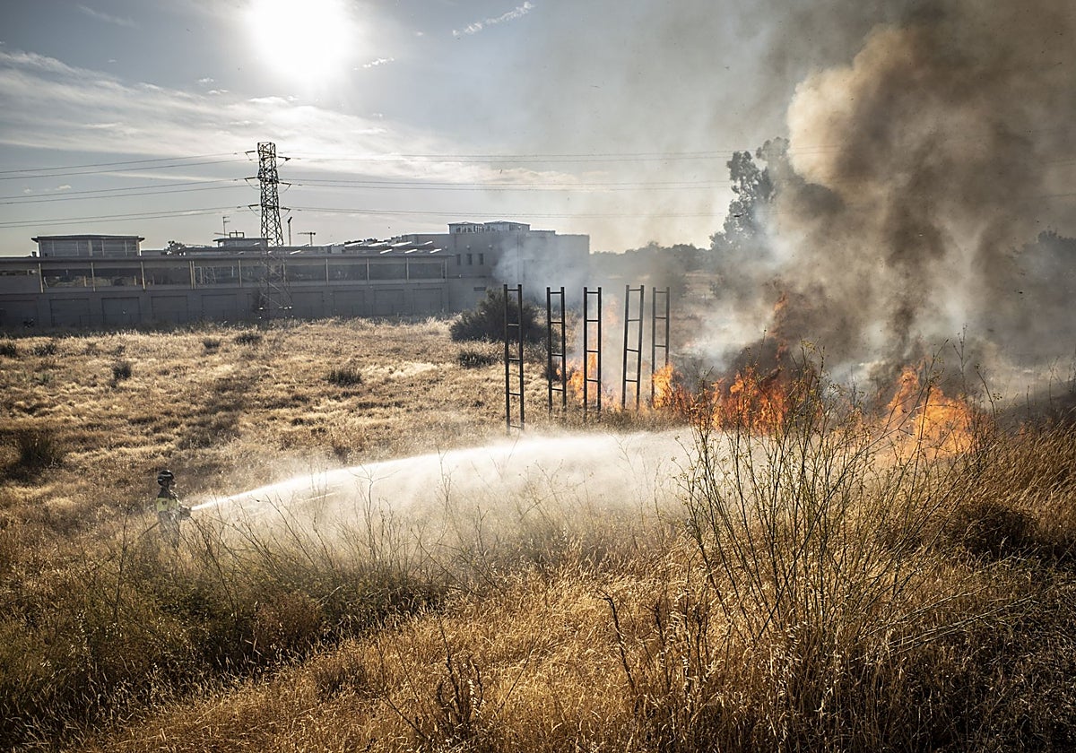 Detenido un hombre por provocar un incendio que obligó a cortar el Puente Real de Badajoz