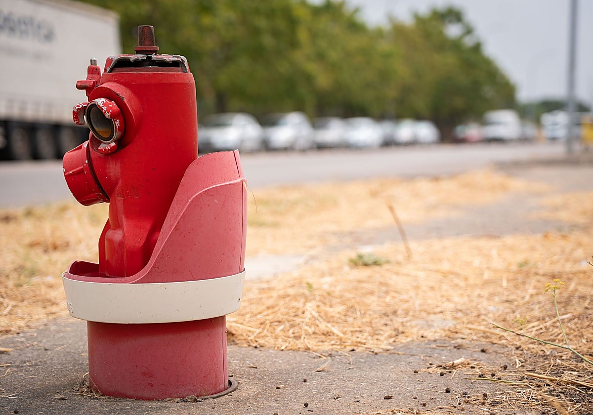 Hidrante en el polígono industrial El Prado.