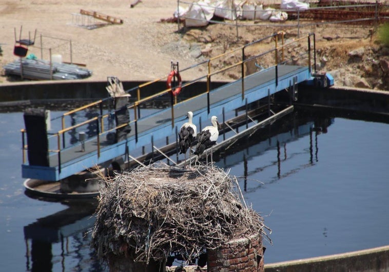 El pleno de Plasencia desbloquea el pago de 2 millones a la UTE del Agua tras 20 meses sin cobrar