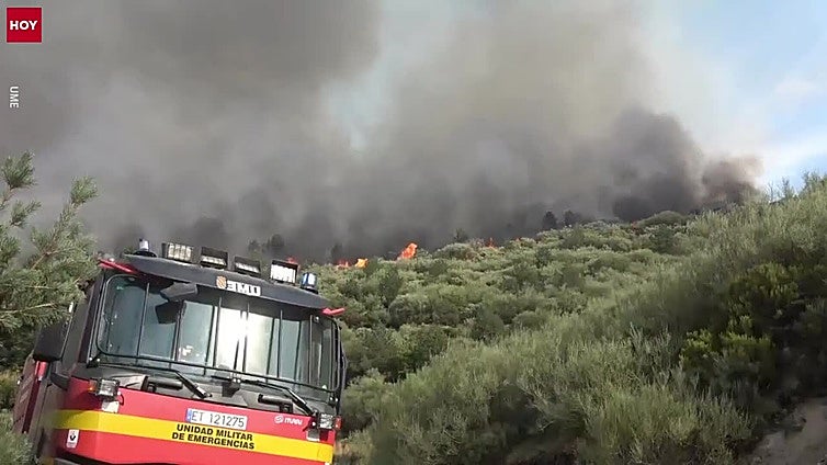 25 medios aéreos luchan contra el incendio de Jarilla en un "día clave"